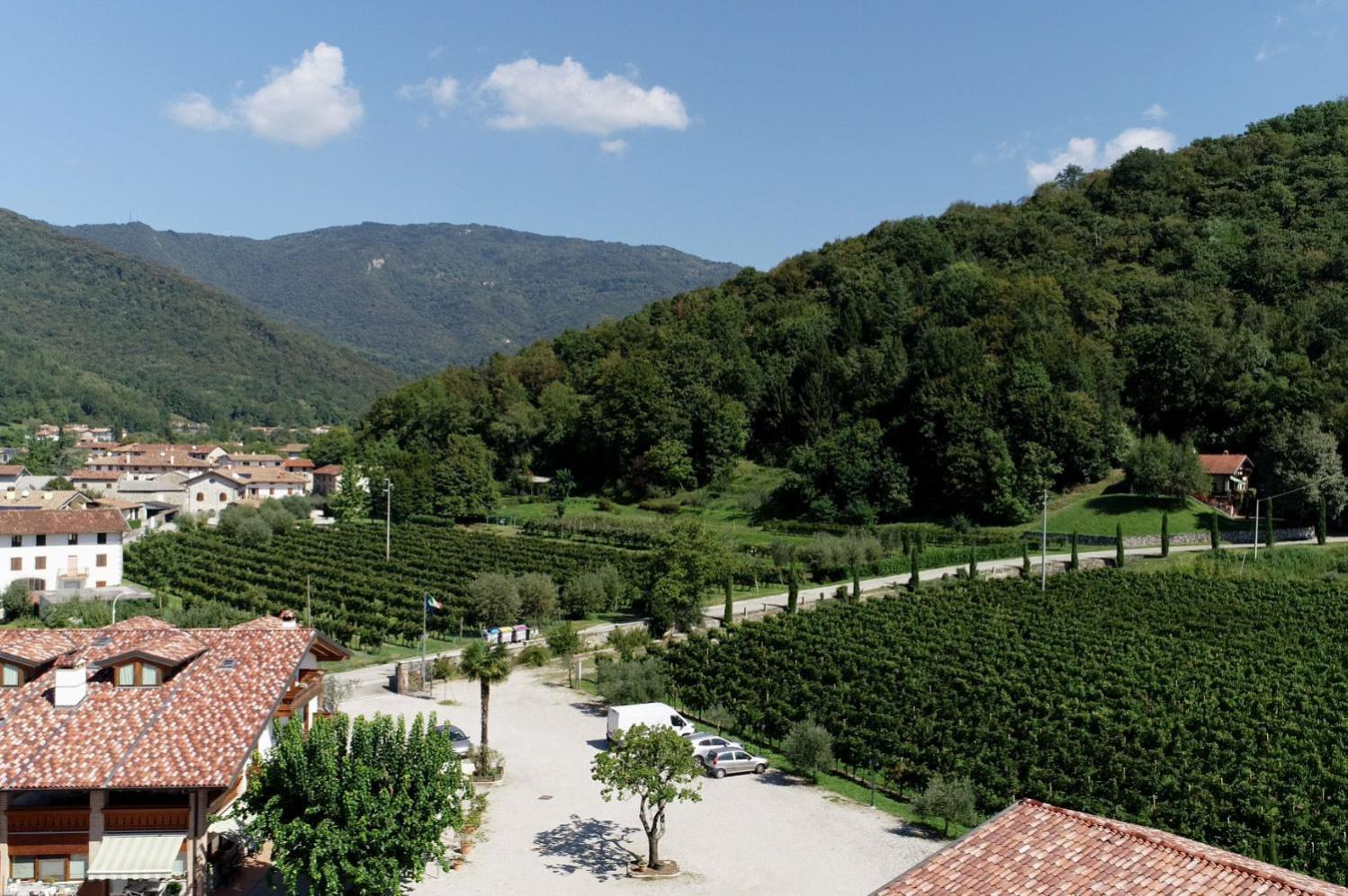 Wine Resort Faedis Kültér fotó